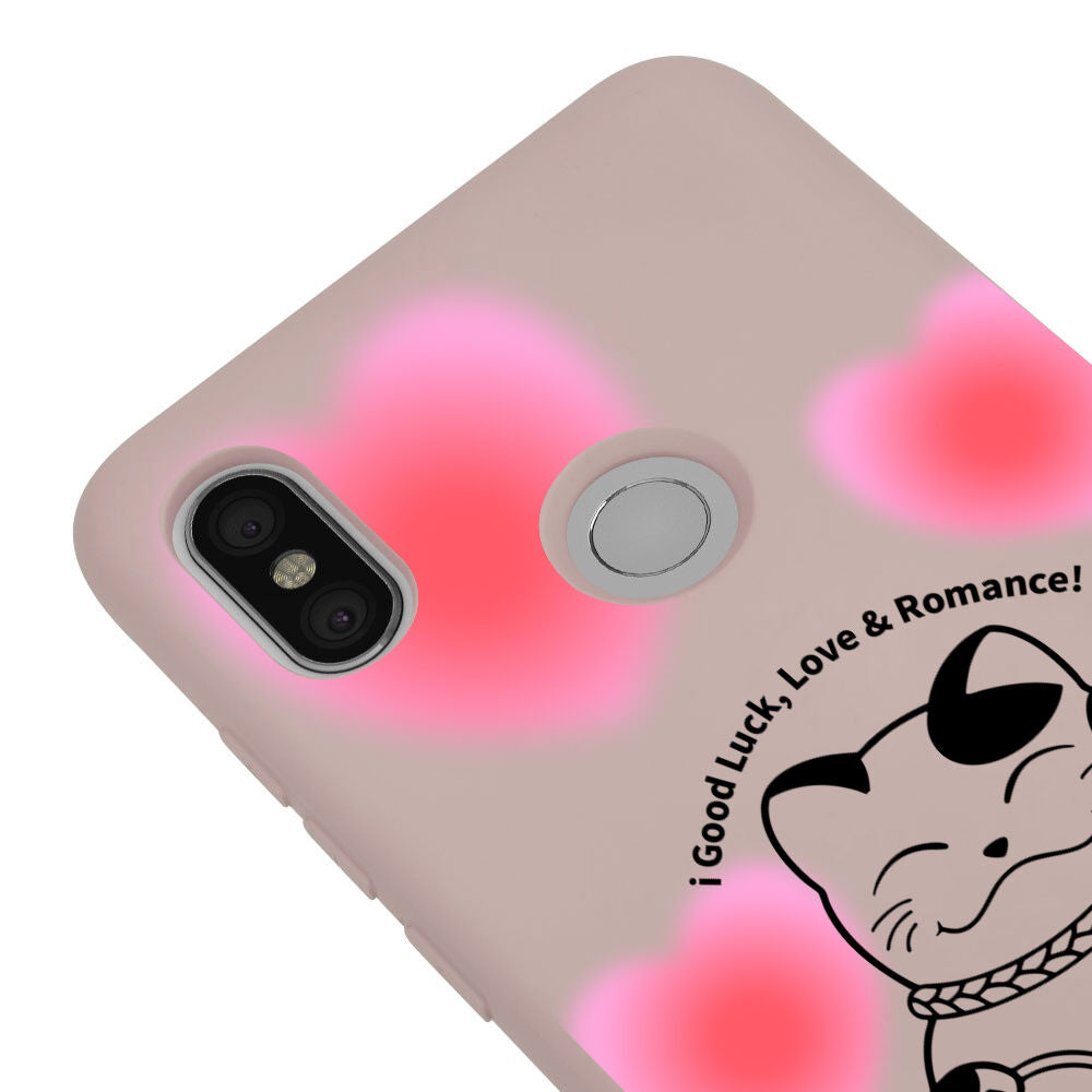 RenkliSilikonPudra