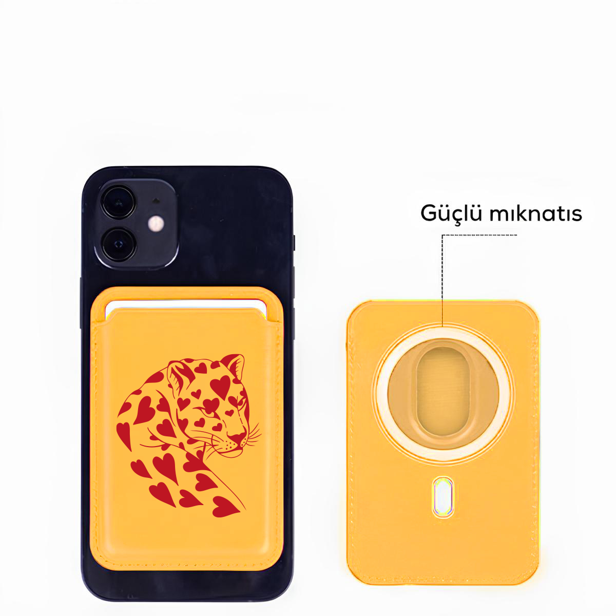 CardsafeSari
