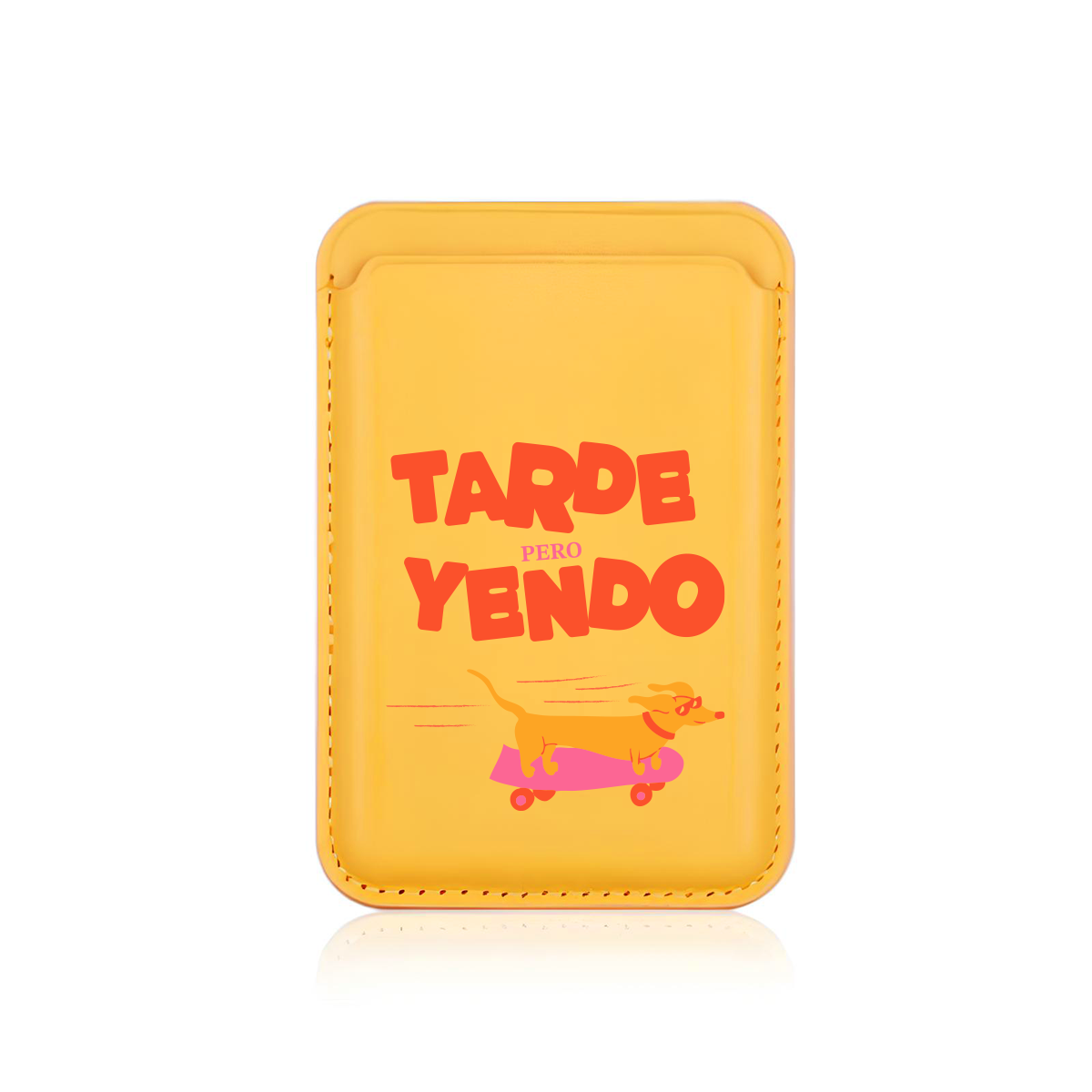 CardsafeSari