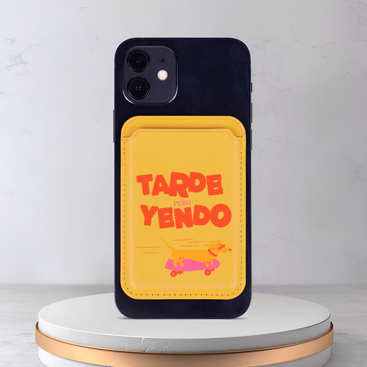 CardsafeSari