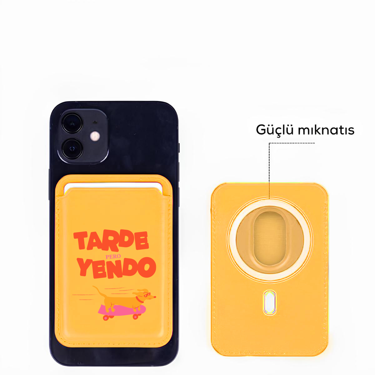 CardsafeSari