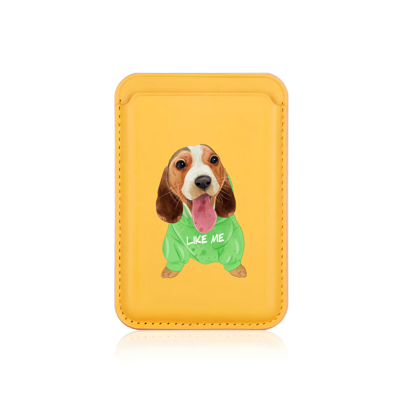 CardsafeSari