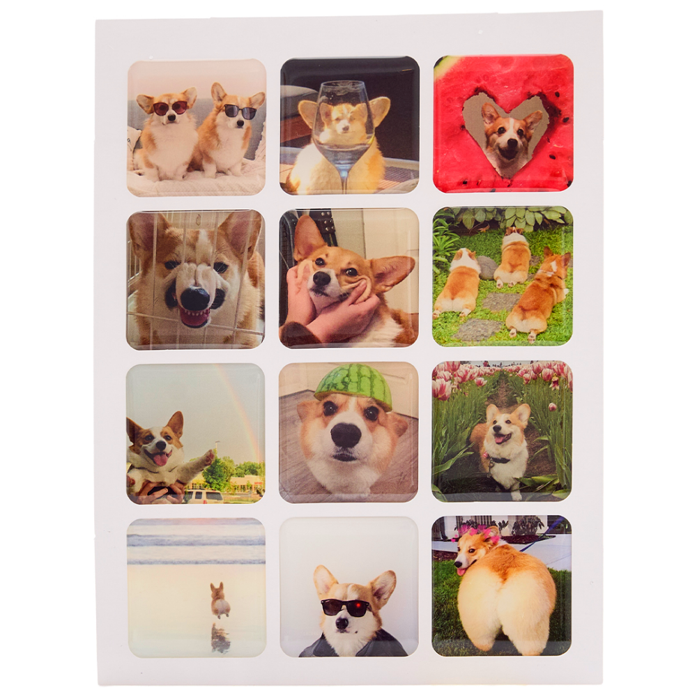Cute Corgi Stickers