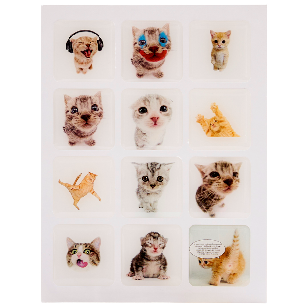 Funny Cat Stickers