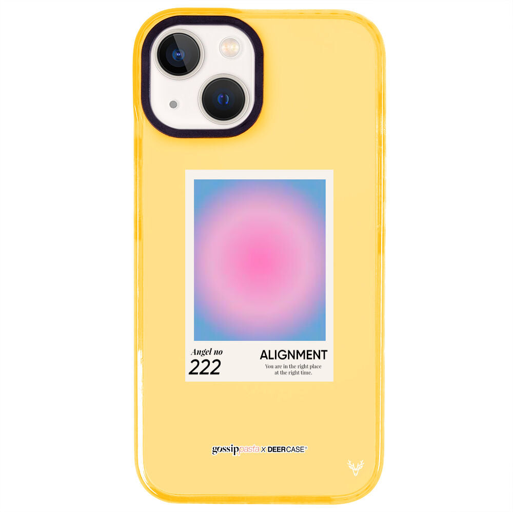 ArtycaseMango