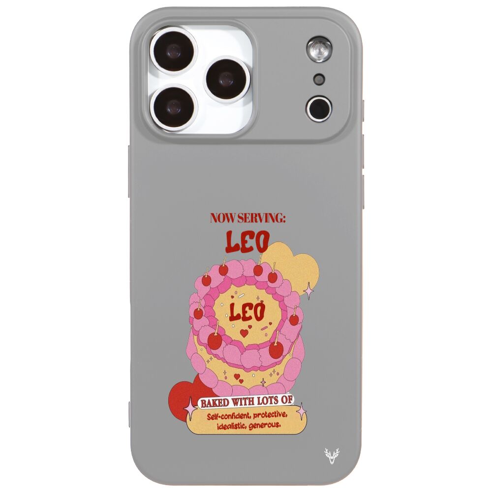 RenkliSilikonGri