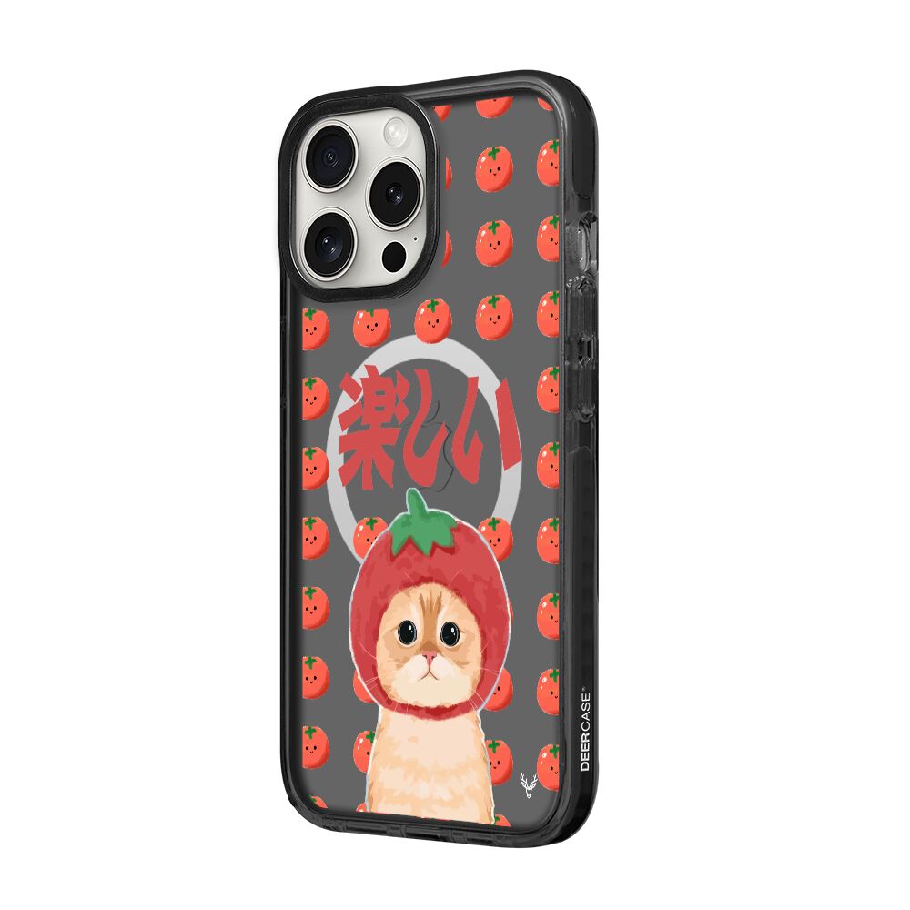MagsafeliArtycaseCoolBlack