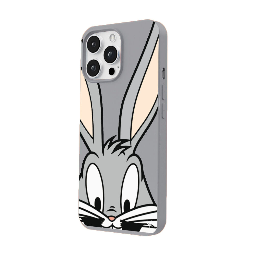 RenkliSilikonGri