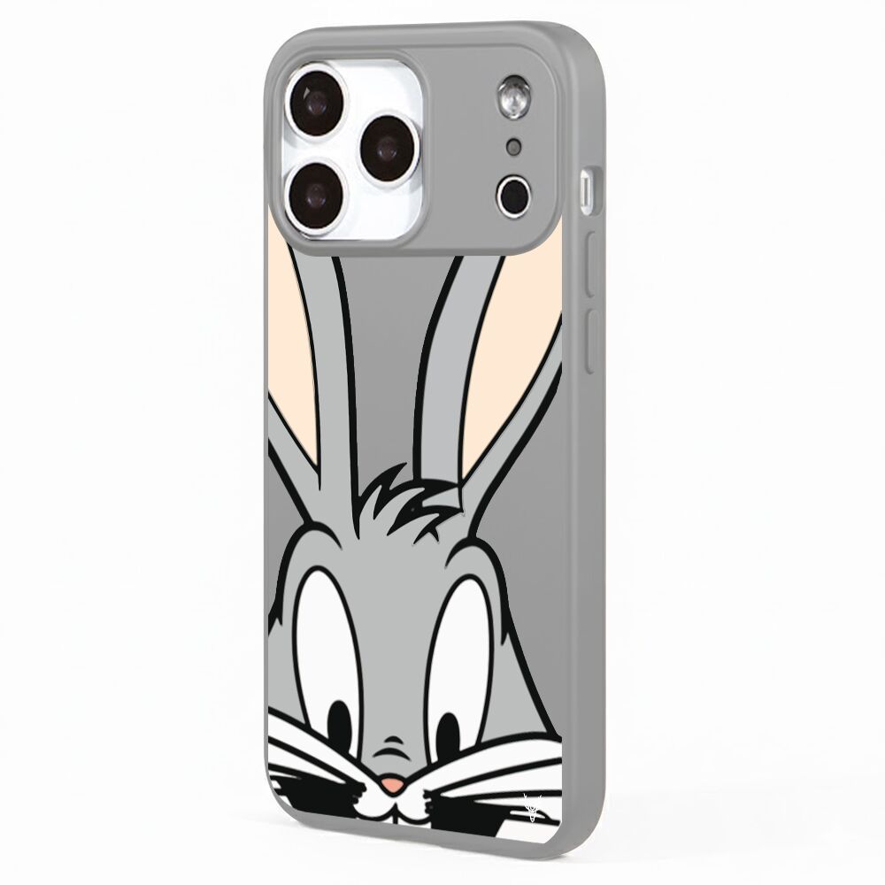 RenkliSilikonGri