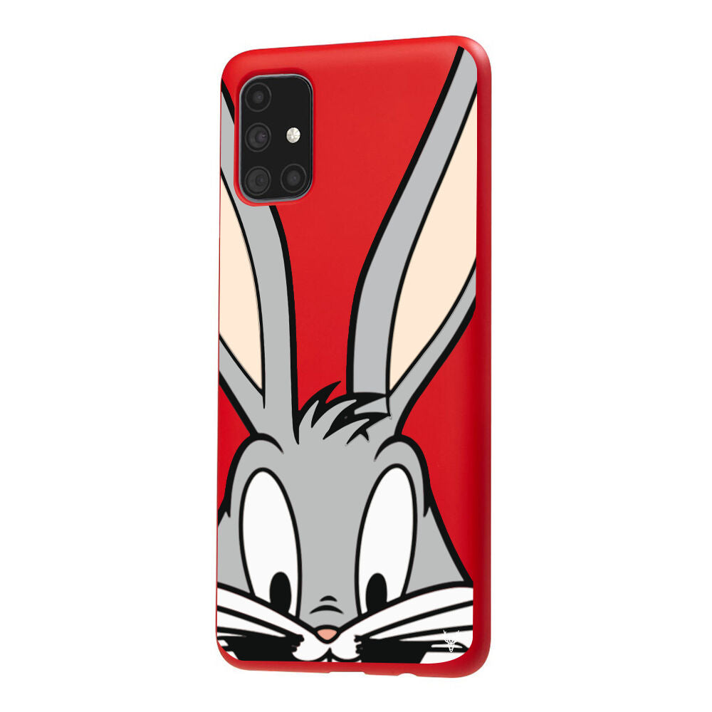 RenkliSilikonKırmızı