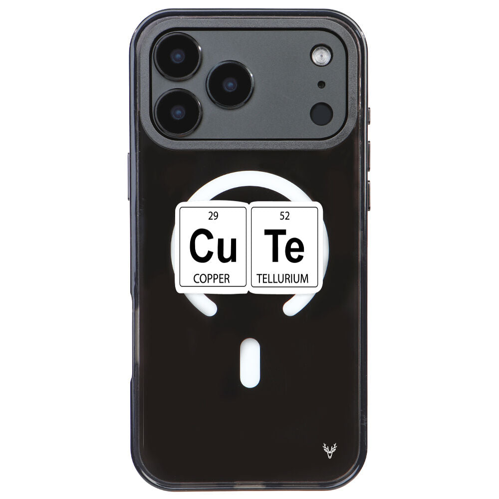 MagsafeliArtycaseCoolBlack