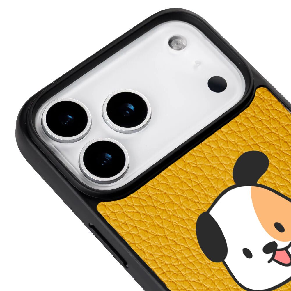 DeriSarı