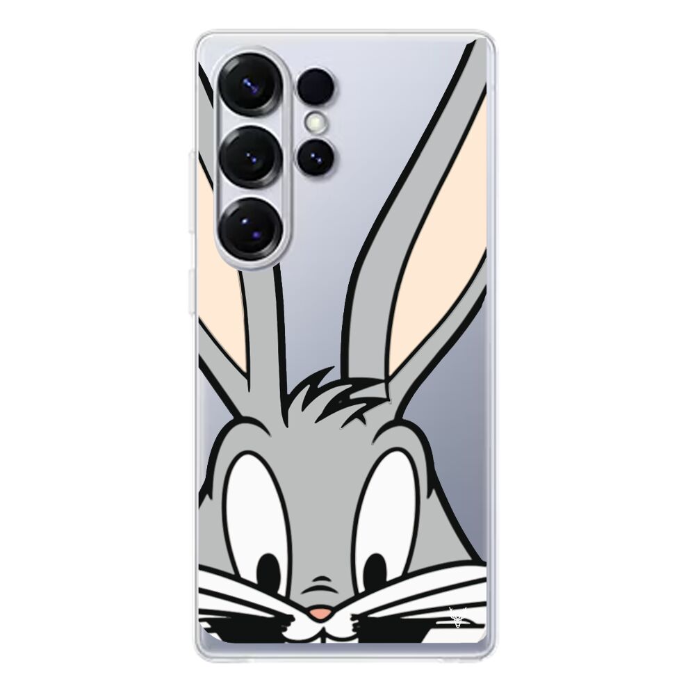 ŞeffafSaydam