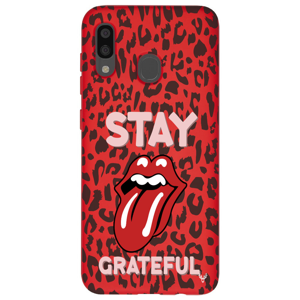 RenkliSilikonKırmızı